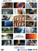 The Tree Of Life