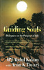 Guide Soul: Dialogue On The Purpose Of Life by APJ Abdul Kalam