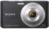 Sony Cybershot DSC-W610 Point & Shoot (Black)