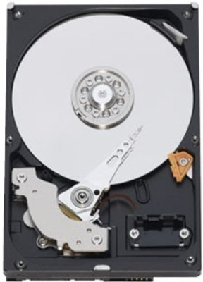 Buy Seagate Barracuda 1 TB Desktop Internal Hard Drive (ST1000DM003): Internal Hard Drive