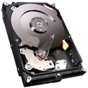 Seagate Barracuda 1 TB Desktop Internal Hard Drive (ST31000524AS): Internal Hard Drive