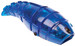 Hexbug Larva