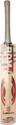 BDM Master Blaster English Willow Cricket  Bat: Bat