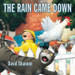 The Rain Came Down 1ST Edition by David Shannon