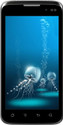 Karbonn A21 (White)