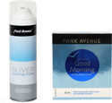 Park Avenue Moisturising - Sliver Shaving Foam: Shaving Foam