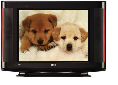 Buy LG 14SA2BB CRT 14 inches Television: Television